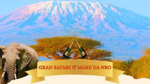 2025 africa gran safari e mare natale e capodanno IN32
