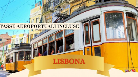 2025 lisbona immacolata 5 12 IN32