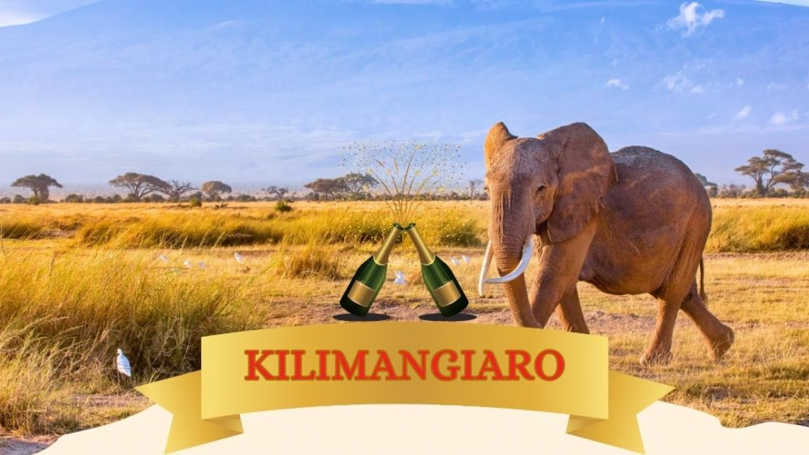 2025 africa kilimangiaro e mare natale e capodanno IN32