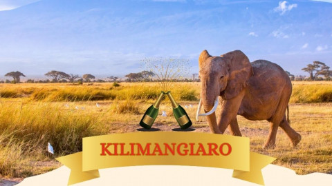 2025 africa kilimangiaro e mare natale e capodanno IN32