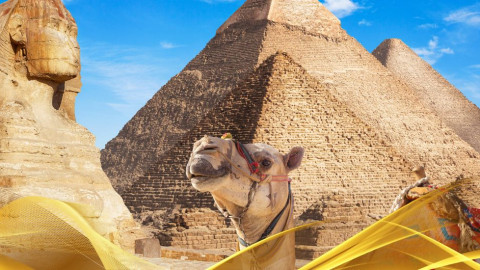 2026 cairo city break 29 05 N IN32