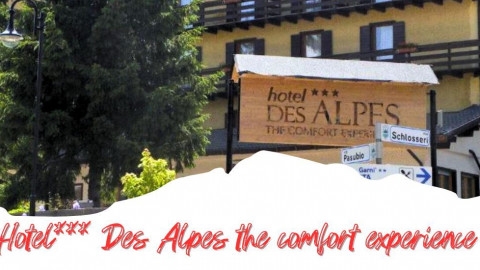 2025 trentino estate des alpes IN32
