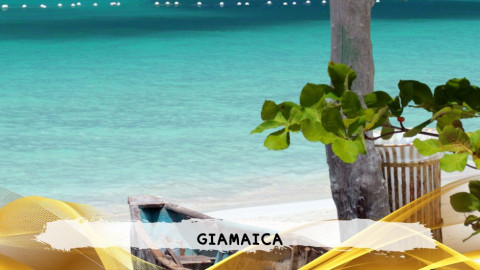 2026 giamaica 14 agosto T IN32