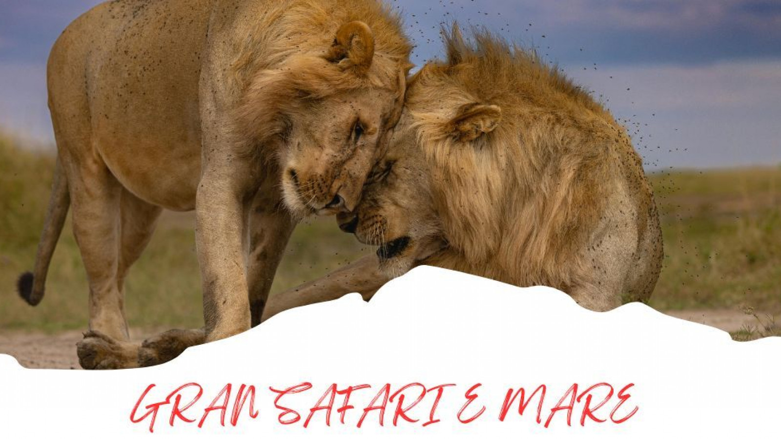 2025 africa gran safari e mare 25 IN32