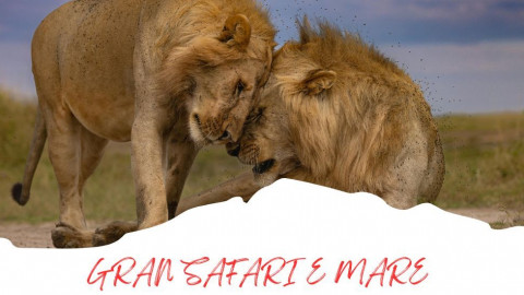 2025 africa gran safari e mare 25 IN32