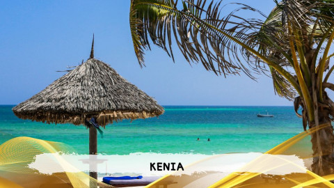 2026 kenya 9,14 08 T IN32