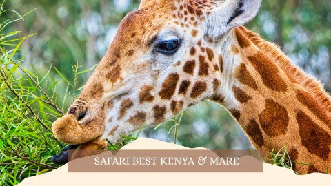 2025 africa best kenia e mare gennaio marzo 26 IN32