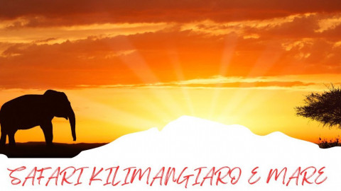 2025 africa kilimangiaro e mare 2025 IN32