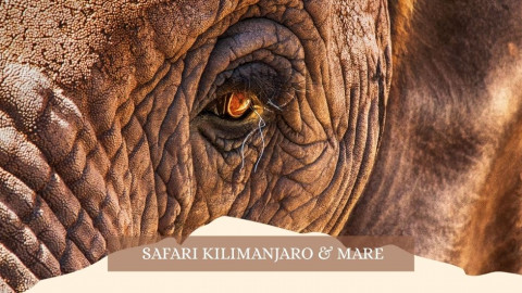 2025 africa kilimangiaro e mare gennaio marzo 2025 IN32