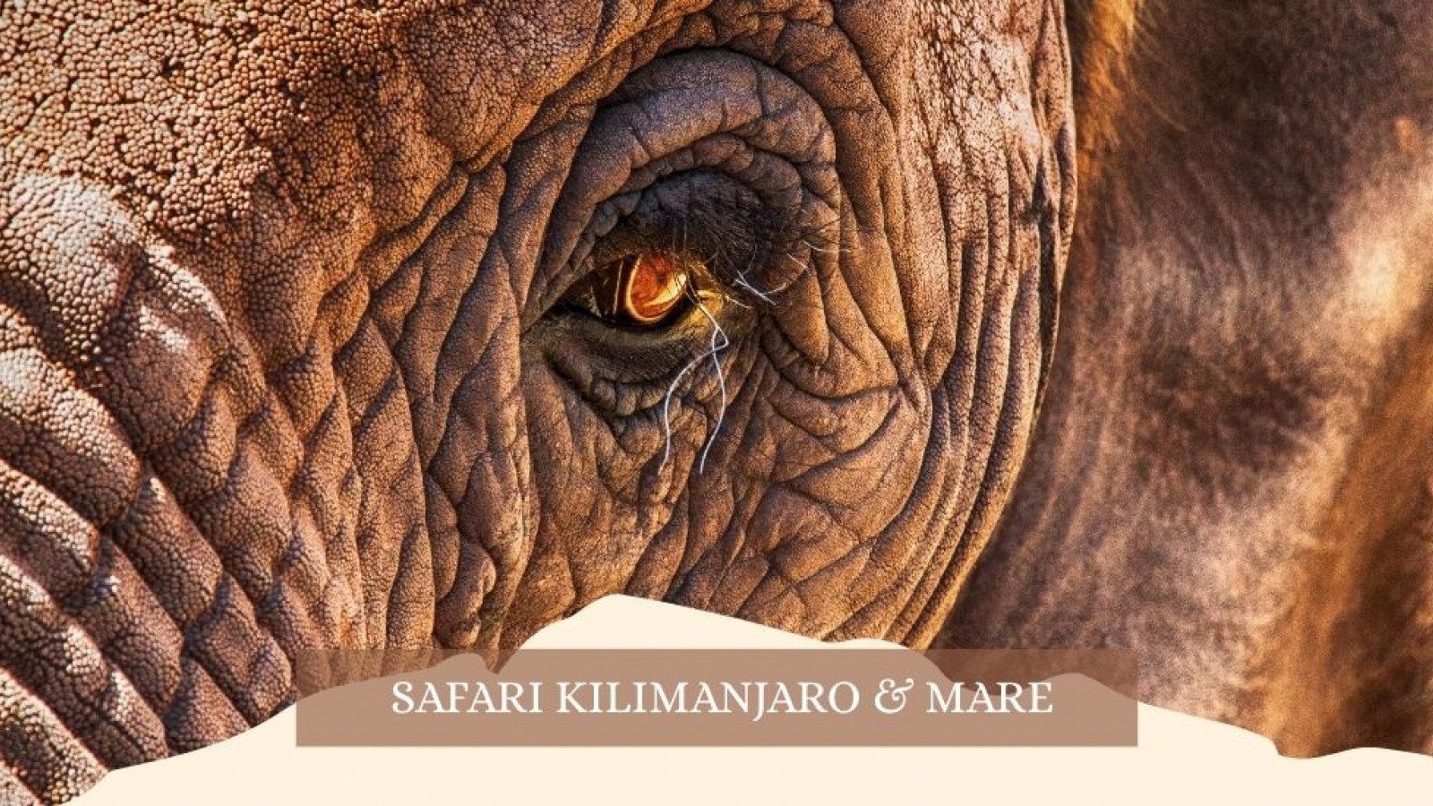 2025 africa kilimangiaro e mare gennaio marzo 2025 IN32