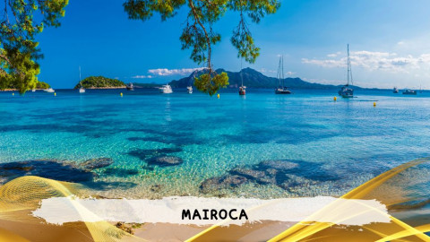 2026 maiorca 11 agosto napoli T IN32