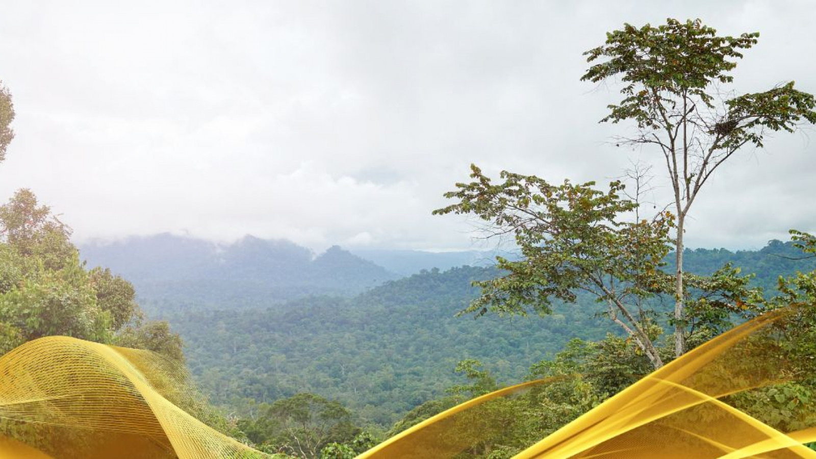 2026 malesia tour mare e altopiani 9 08 O IN32