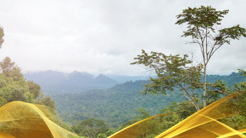 2026 malesia tour mare e altopiani 9 08 O IN32