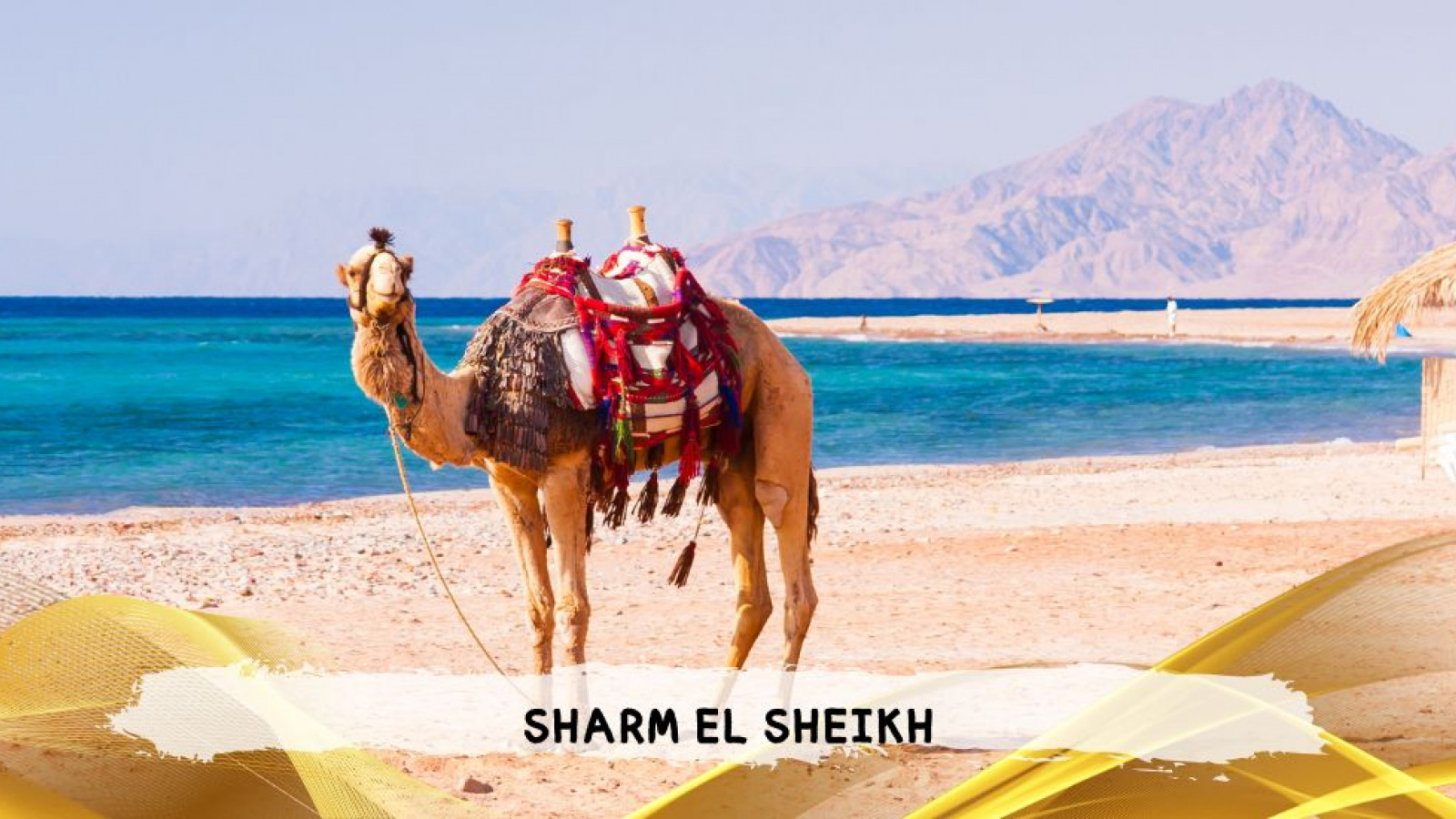 2026 sharm el sheikh da roma queen T IN32