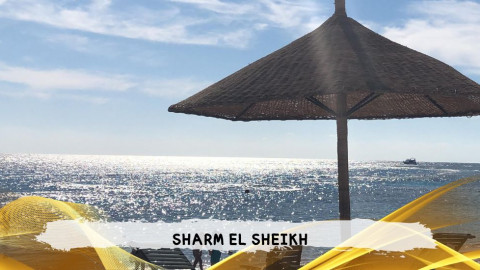 2026 sharm el sheikh da roma T IN32