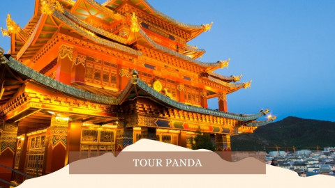 2026 cina tour panda 28 04 IN32
