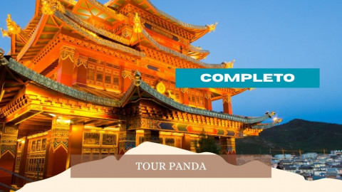 2026 cina tour panda 28 04 IN32