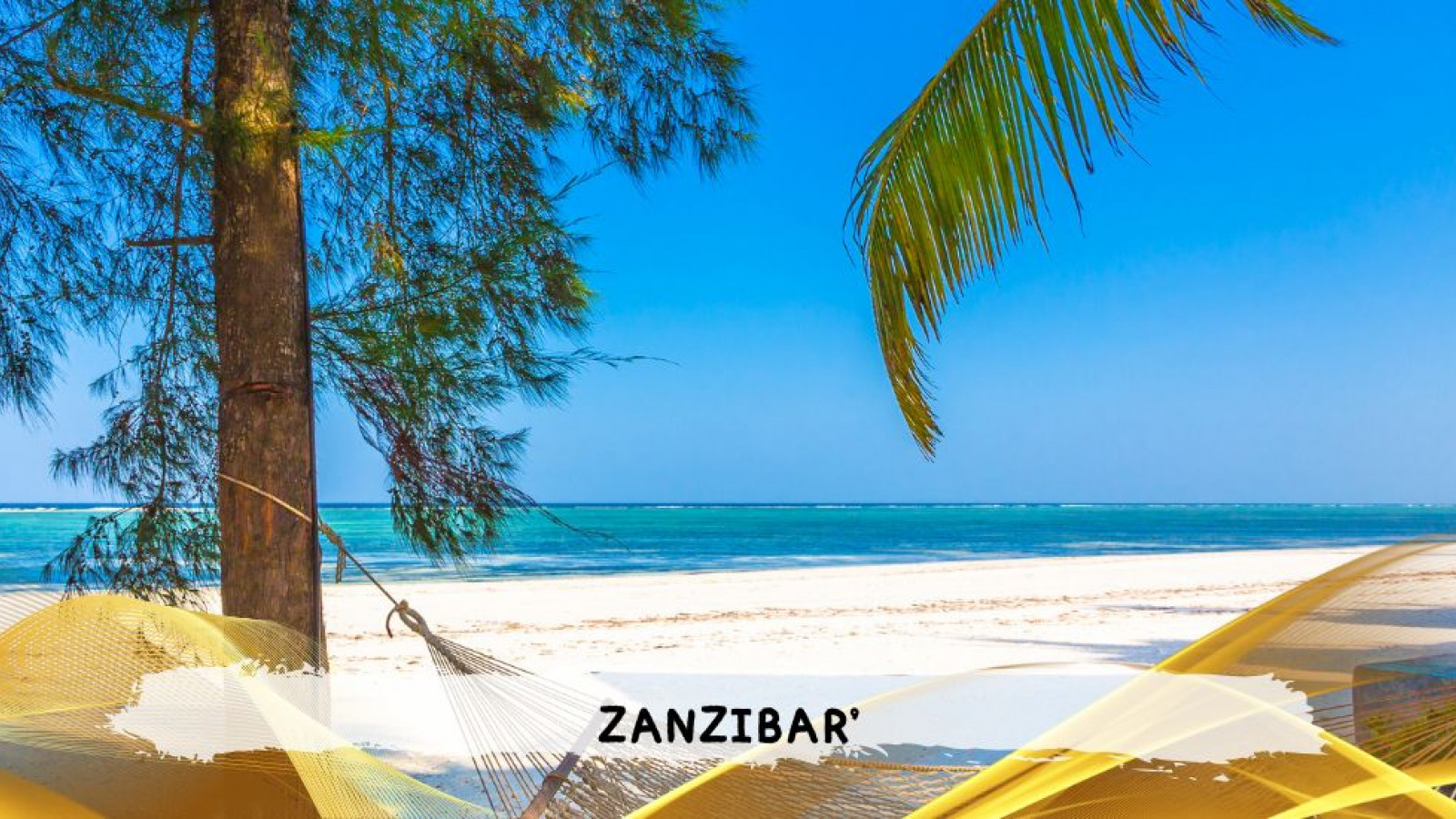 2026 zanzibar 11 08 T IN32