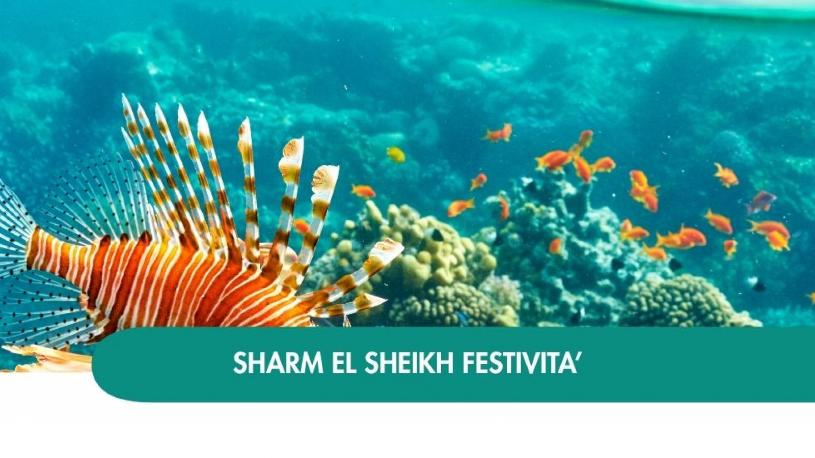 2026 sharm el sheikh queen festivita T IN32