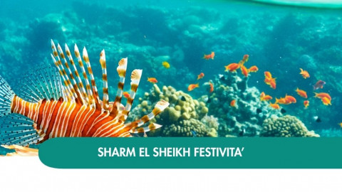 2026 sharm el sheikh queen festivita T IN32