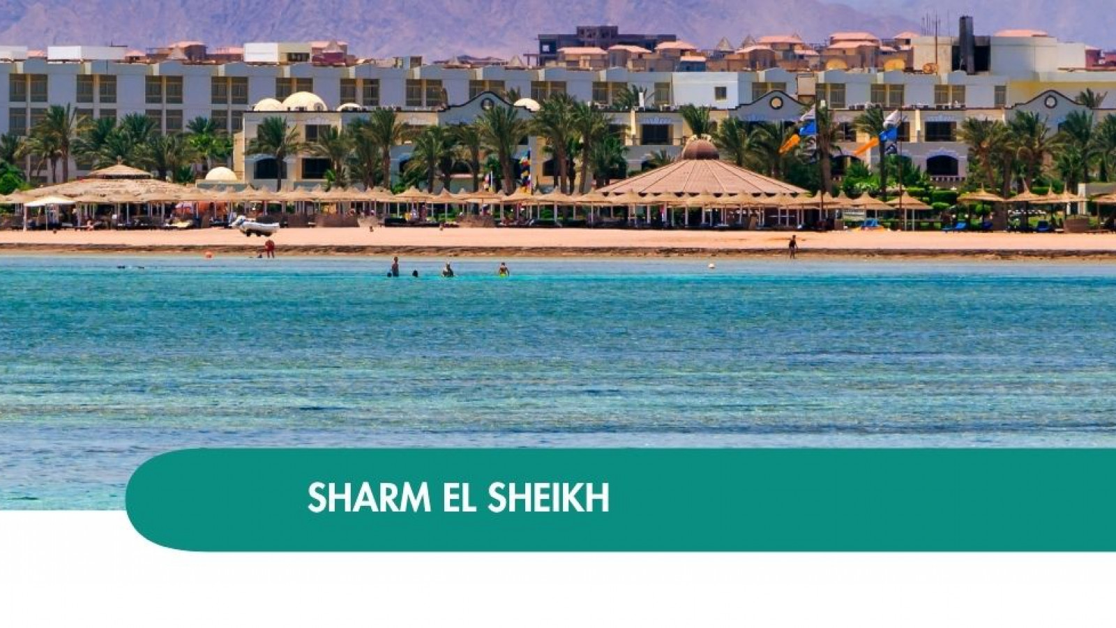 2026 sharm el sheikh queen immacolata T IN32