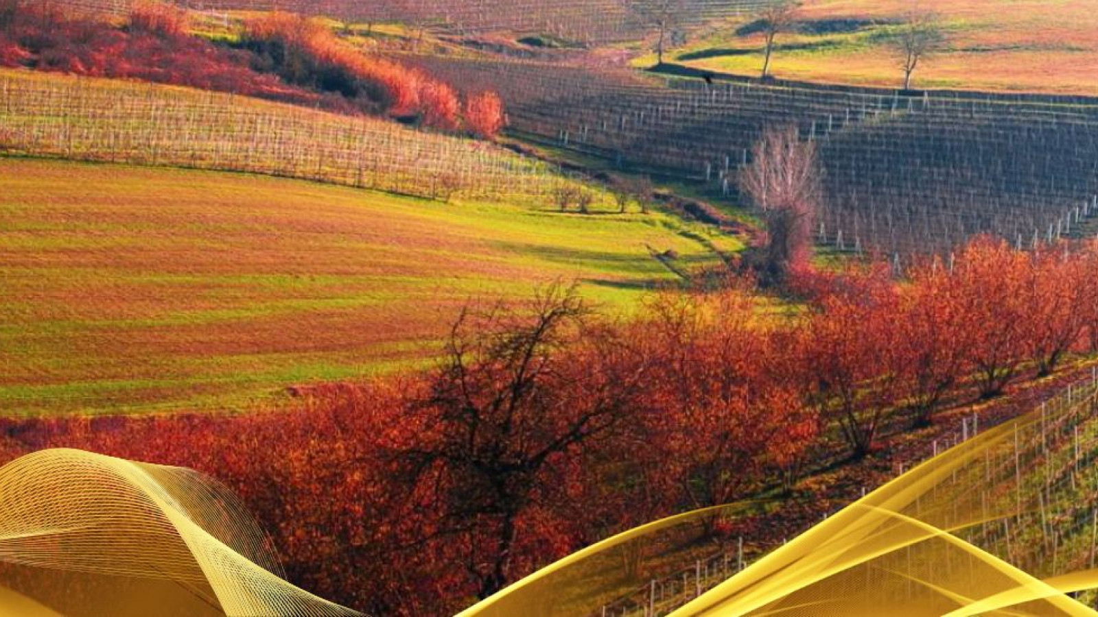 2026 W torino e le langhe 30 05 IN32